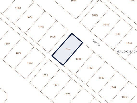 Item 31772 - Image 0