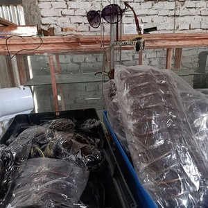 Lote siguiente: Exhibidor de Lentes de Sol Nuevos con Lentes Incluidos