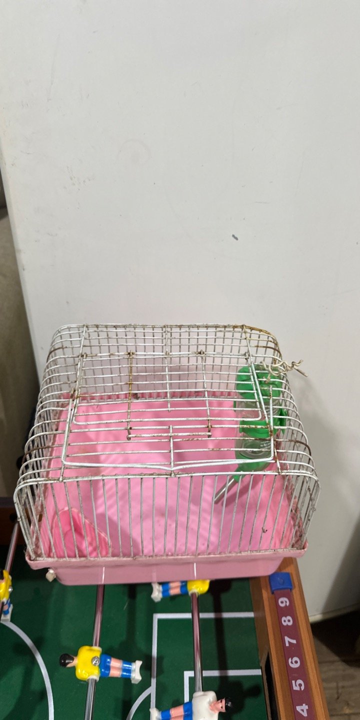 Item 62929 - Image 0