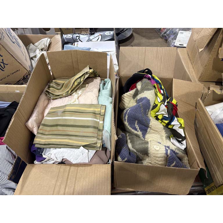Lote siguiente: Lote de Ropa Variedad
