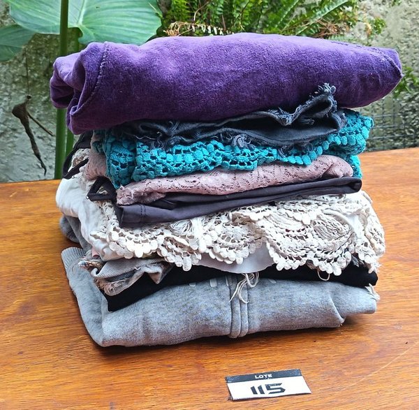 Lote de Ropa Femenina: Shorts, Jeans, Canguros, Remeras y Musculosas