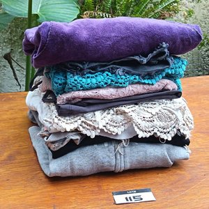 Lote siguiente: Lote de Ropa Femenina: Shorts, Jeans, Canguros, Remeras y Musculosas