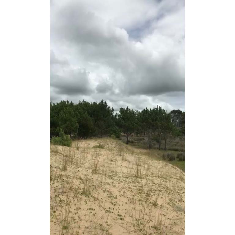 Item 2097793 - Image 6