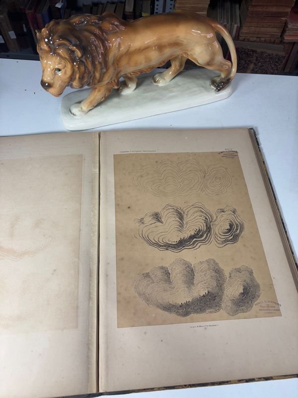 Item 885477 - Image 2