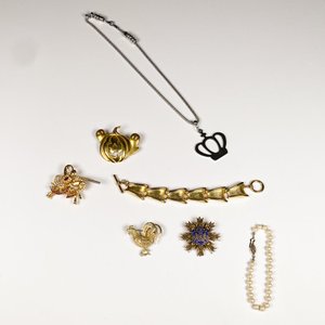 Lote de Bijouterie Variada: Broches, Collar y Pulsera - imagen 1