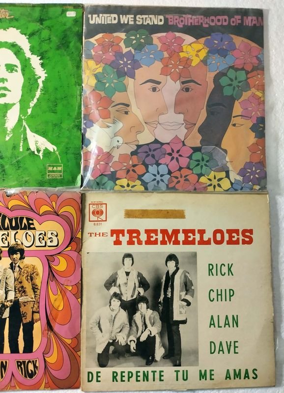 Vinilos de 33 RPM de artistas de rock y pop - imagen 4