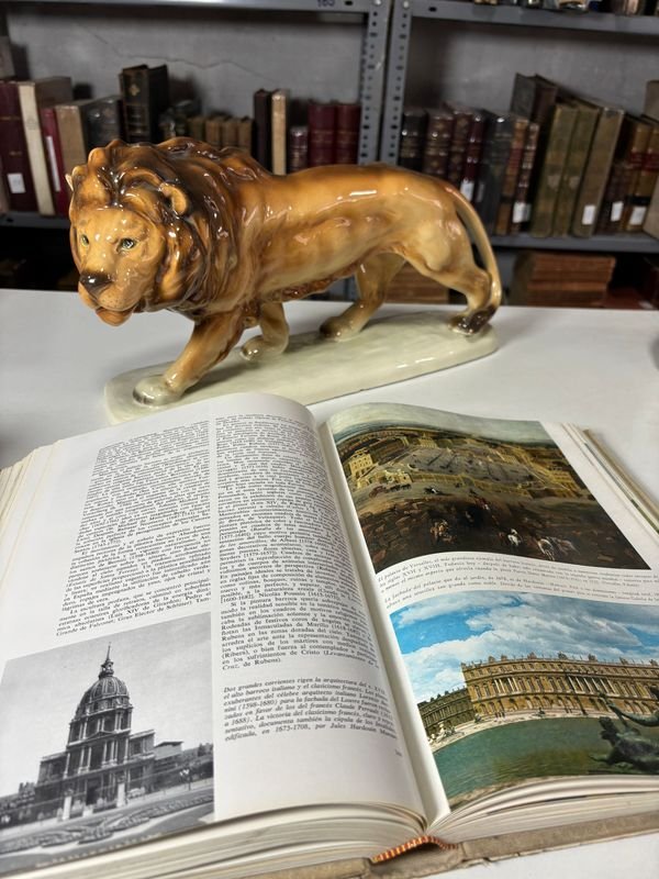 Libros de Historia del Mundo Contemporáneo del Siglo XX - imagen 5