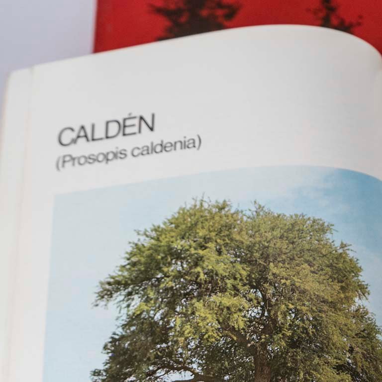 Item 2111807 - Image 1