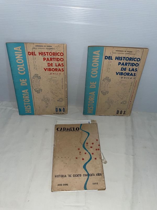 Historia de Colonia: "Del Histórico Partido de las Viboras"