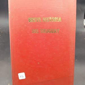 Lote anterior: Breve Historia del Uruguay - Libro Antiguo