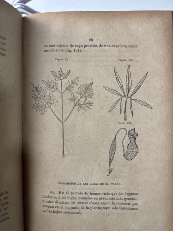 Elementos de Botánica por Federico Schoedeler - Sevilla y Madrid 1881 - imagen 6