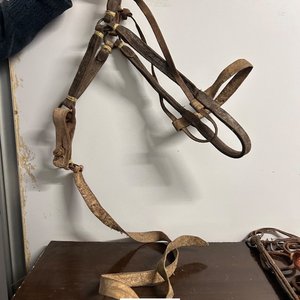 Cabezada y Riendas de Cuero para Caballo - imagen 1