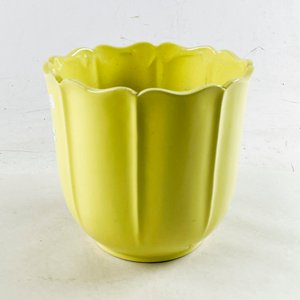Lote anterior: Macetero de Loza Olmos Amarillo