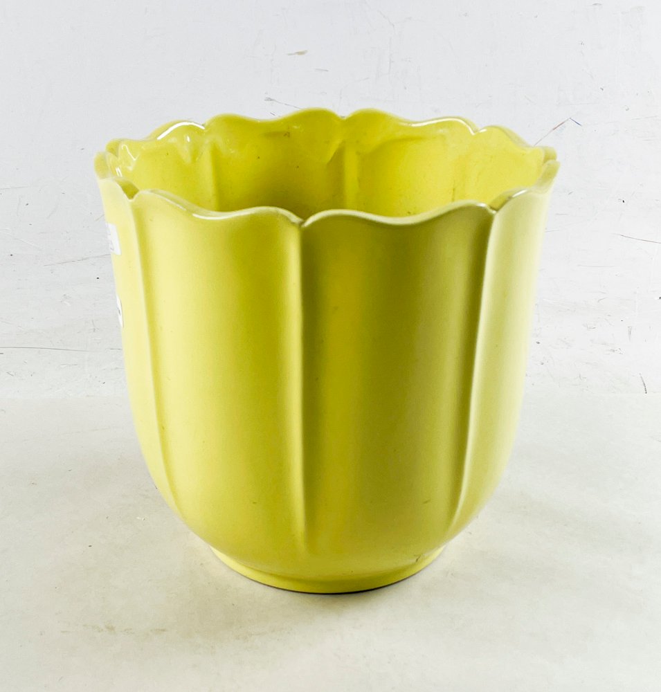 Macetero de Loza Olmos Amarillo