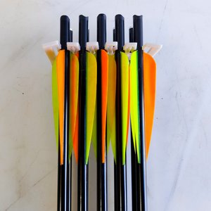 Set de 30 Flechas Grandes para Ballesta - imagen 3