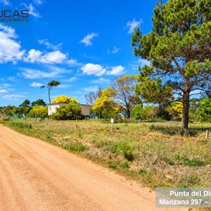 Terreno en Venta en Punta del Diablo, Rocha - 510 m² con Frente Arbolado - imagen 3