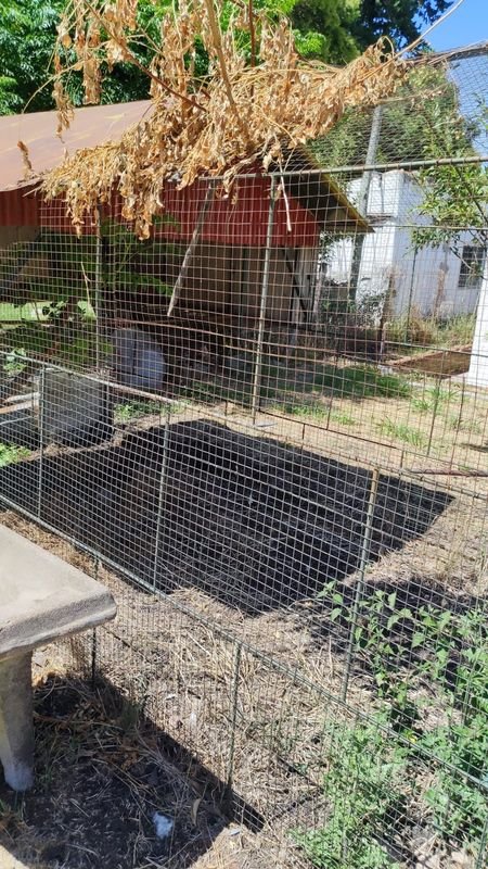 Item 869948 - Image 7