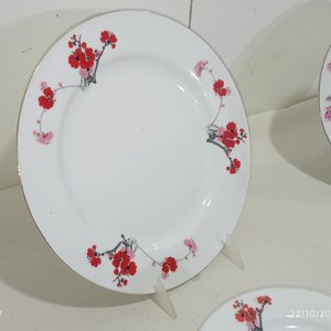 Conjunto de 13 Platos de Cerámica Decorada con Flores - Industria China - imagen 4