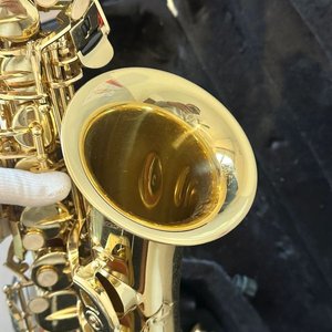 Saxofón Alabama Dorado con Estuche - imagen 7