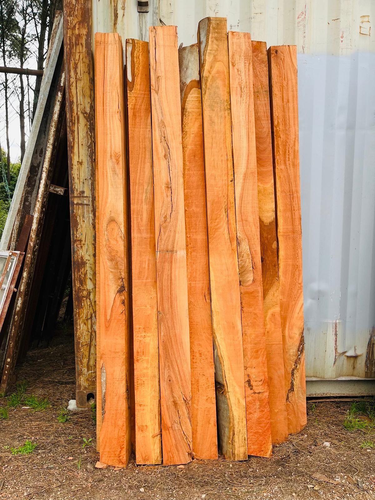 Lote de 14 Postes de Eucalipto Colorado