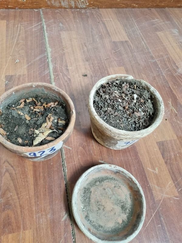 Macetas de barro para decorar el hogar - imagen 3