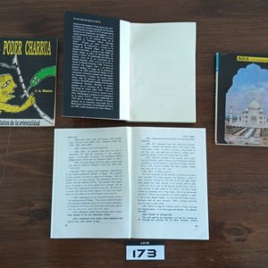 Conjunto de Libros: El Poder Charrúa, Túpac Amaru, Oficio Abierto, Paradigmas (3 tomos), Guías de India e Irak, Urbanidad y Buenas Maneras - imagen 4