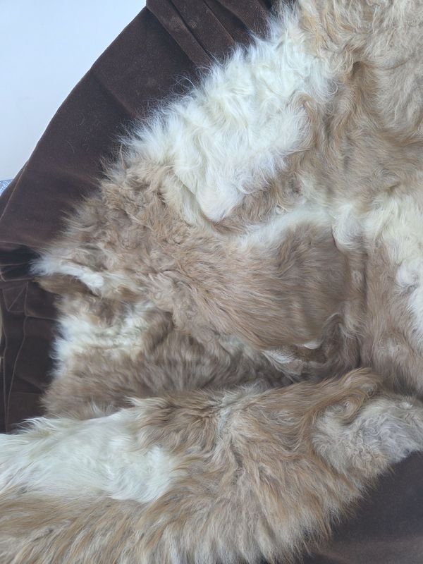 Item 888810 - Image 3