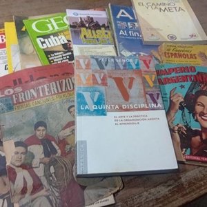 Lote de Libros Variados: Idiomas, Revistas y Más - imagen 12