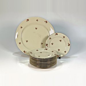 Juego de Porcelana Bavaria Beige con Flores: Plato Torta y 11 Platos de Postre - imagen 2