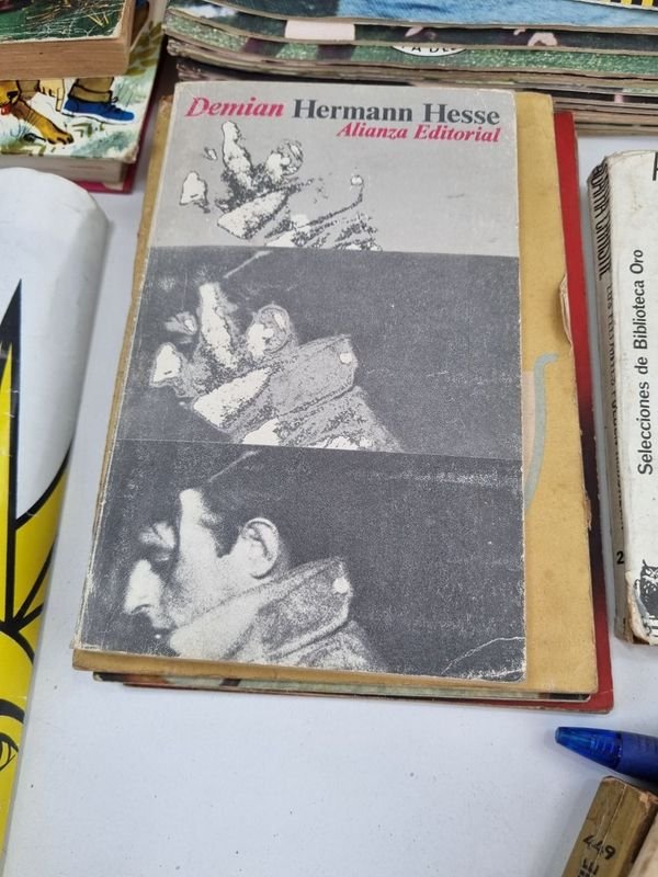 Colección de libros, revistas y accesorios en excelente condición - imagen 8