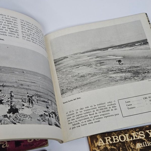 Libros sobre temáticas del Uruguay - imagen 4