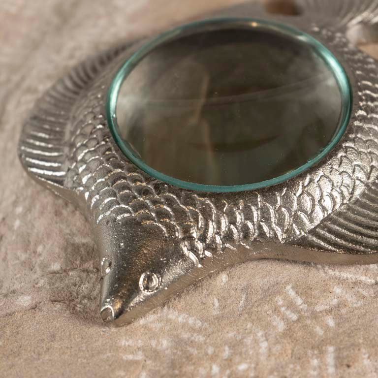 Item 2097393 - Image 1