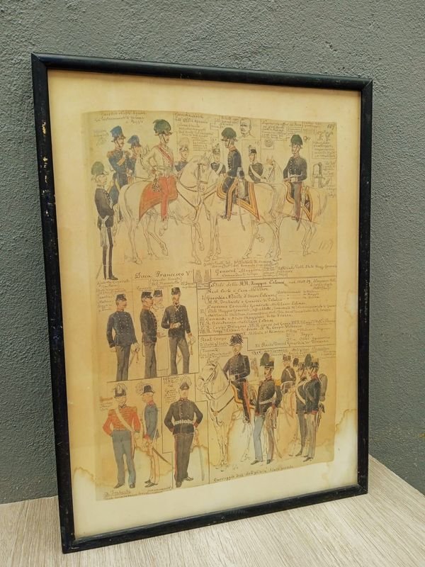 Item 884229 - Image 0