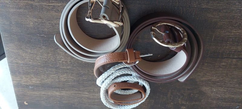 Cinturones de Dama y Accesorios para la Moda - imagen 2