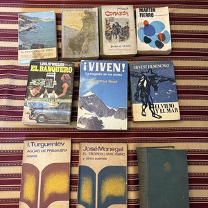 Lote anterior: Lote de Libros Clásicos y Literatura: Martín Fierro, Corazón, El Viejo y el Mar y Más