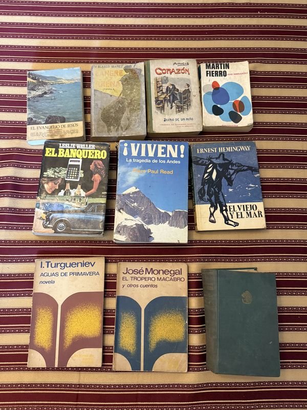 Lote de Libros Clásicos y Literatura: Martín Fierro, Corazón, El Viejo y el Mar y Más