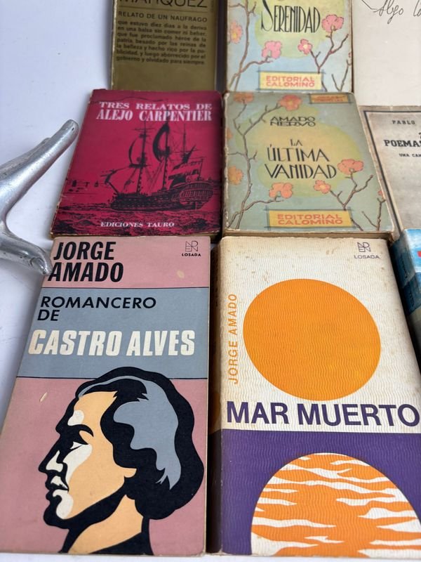 Colección de libros de literatura latinoamericana y universal - imagen 8