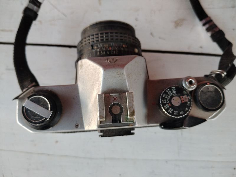 Item 876653 - Image 2