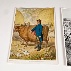 Tres Ilustraciones Históricas: Segunda Guerra Mundial y Escena Rural - imagen 4