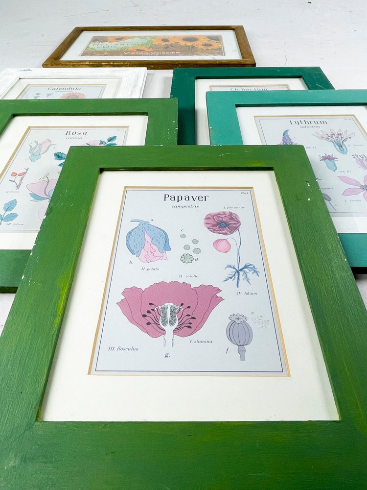 Item 495781 - Image 1