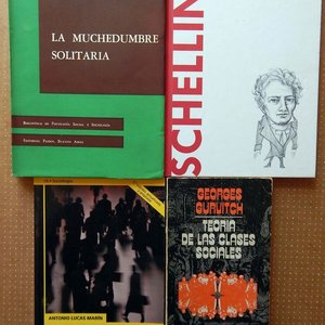 Lote anterior: Lote de 4 Libros de Sociología: La Muchedumbre Solitaria, Schelling, Introducción a la Sociología y Teoría de las Clases Sociales