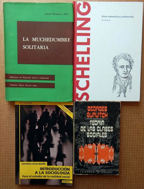 Lote de 4 Libros de Sociología: La Muchedumbre Solitaria, Schelling, Introducción a la Sociología y Teoría de las Clases Sociales