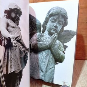 Libro Fotográfico "Ángeles / Anjos" de Panteones y Catedrales del Mundo - imagen 3