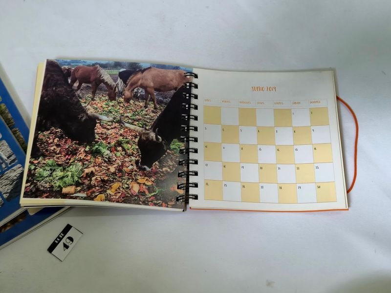 Item 844750 - Image 14