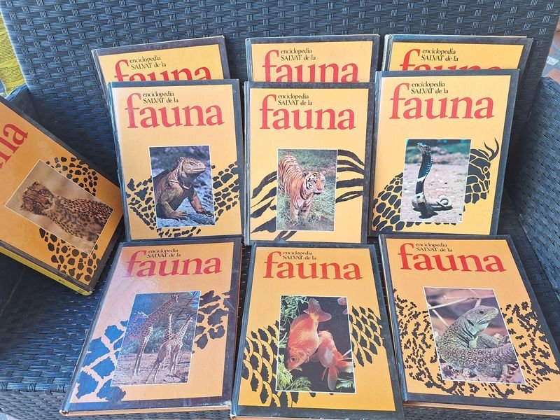 Item 879823 - Image 0