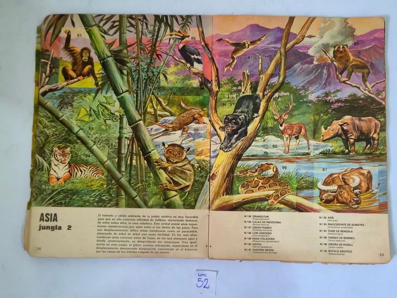 Item 844753 - Image 7