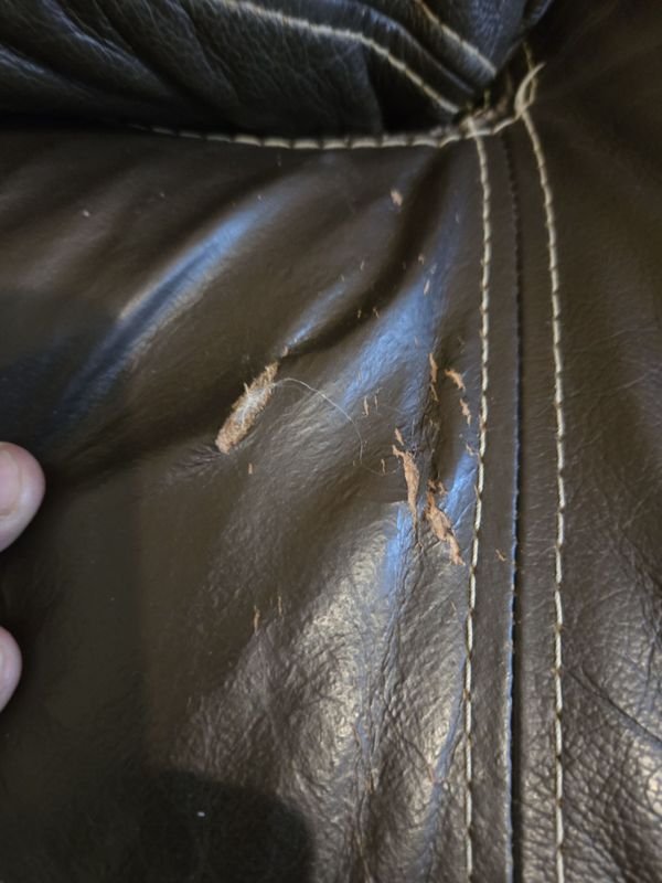 Item 891967 - Image 5