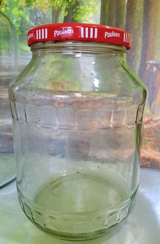 Item 879780 - Image 3