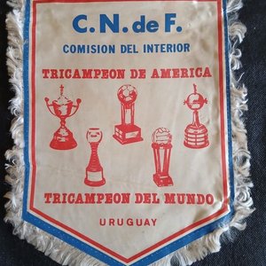 Lote anterior: Banderín "Comisión del Interior" Tricampeón de América y del Mundo