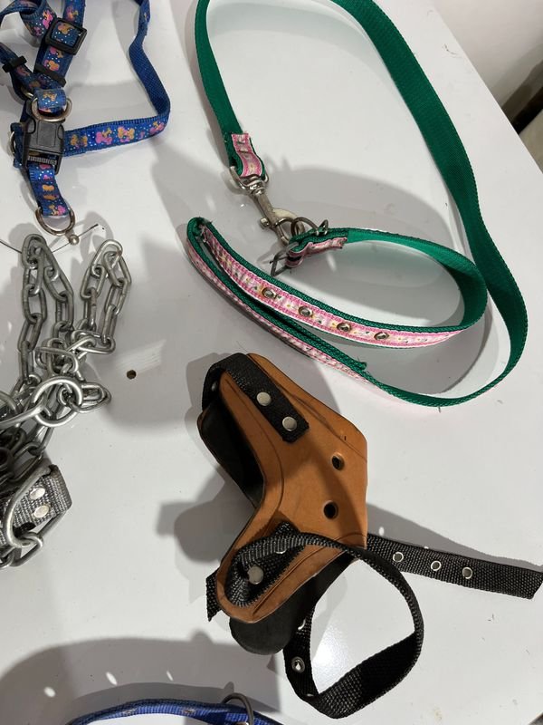 Item 852097 - Image 4